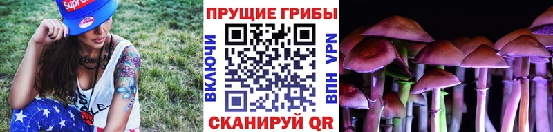 Псилоцибиновые грибы Psilocybine cubensis мориарти официальный сайт Тавда